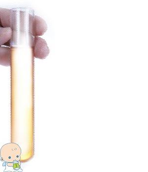 PGT实验室